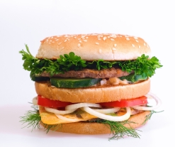 stockvault-hamburger136657